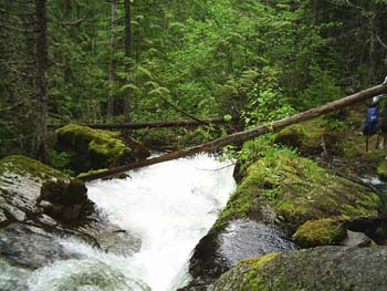 Creek up Slocan Valley